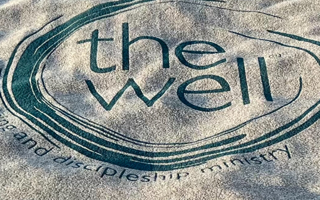 Well Logo Blanket